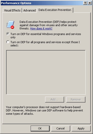 Реферат по теме Вирусы против технологии NX в Windows XP SP2