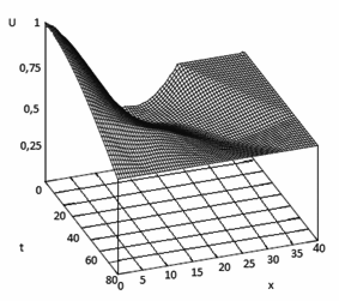 Рисунок 4. Процесс гашения в сечении y = 0,5